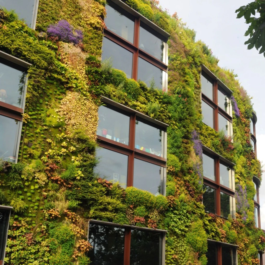 La v&eacute;g&eacute;talisation des b&acirc;timents pour combiner l&rsquo;esth&eacute;tique et le respect de  l&rsquo;environnement