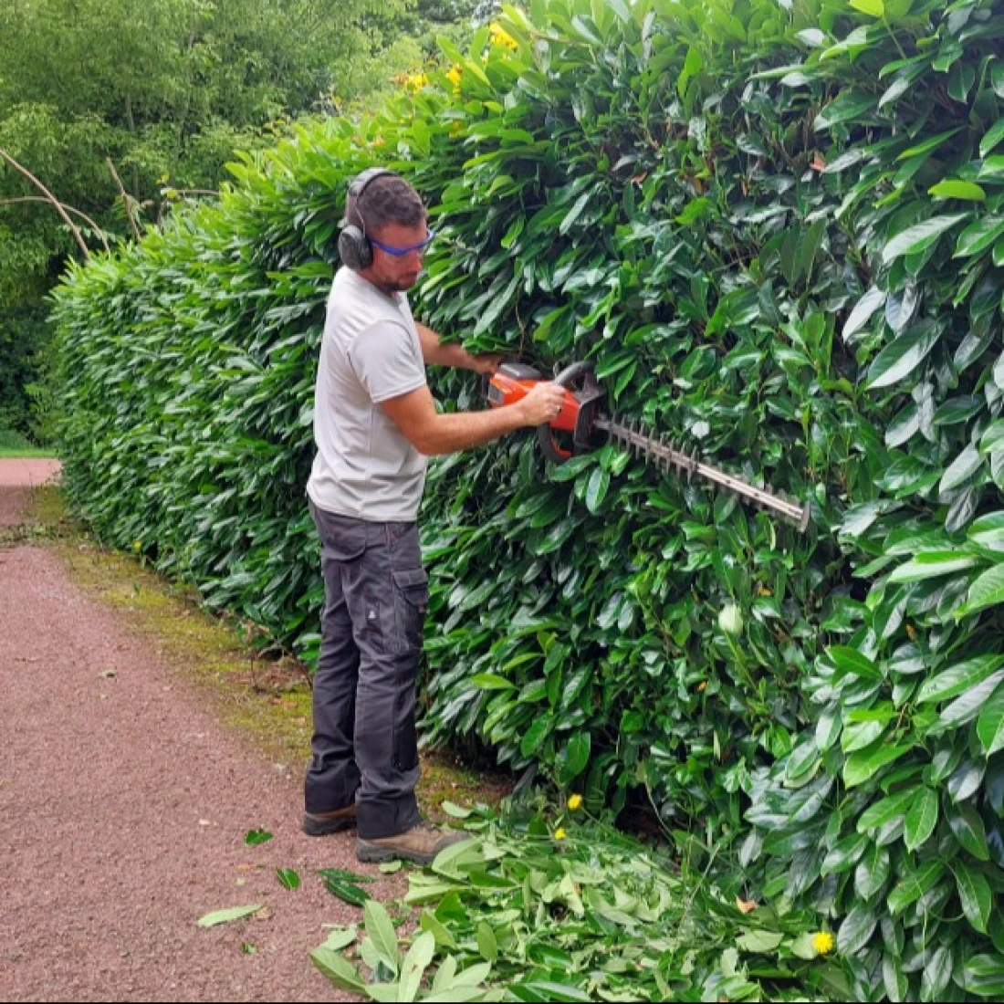 Tailler, d&eacute;broussailler  et prot&eacute;ger sa maison  des feux de for&ecirc;t