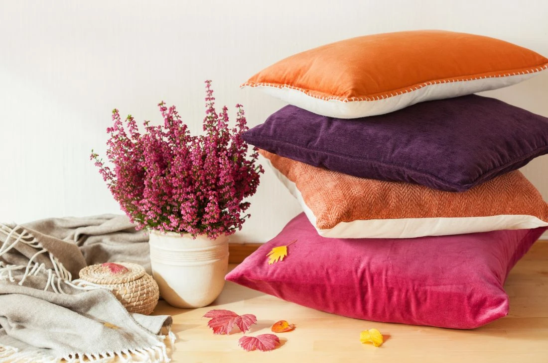 Daniel Moquet coussin