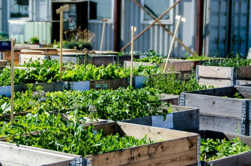 Des jardins ouvriers aux jardins familiaux