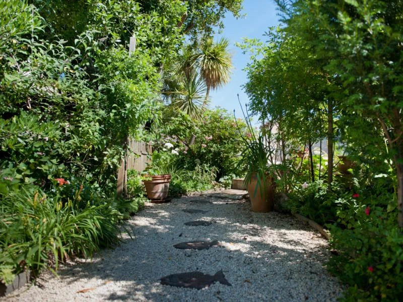 De nouvelles tendances pour votre jardin en 2025 !