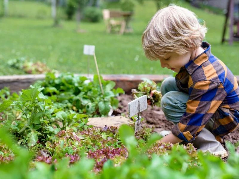 La place du jardin dans la société