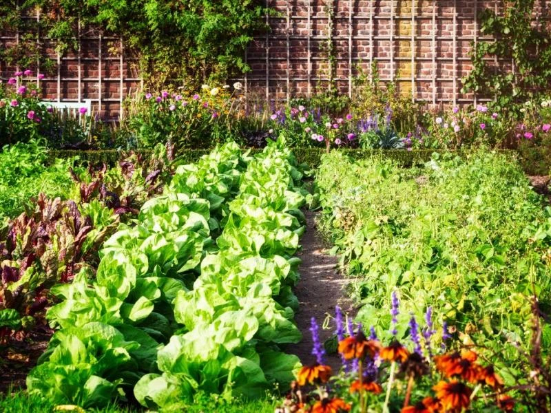 Calendrier des fruits et légumes de saisons