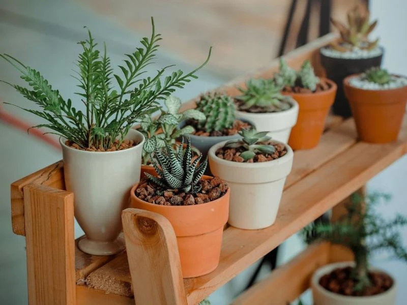 Fabriquer une jardinière verticale pour plantes aromatiques