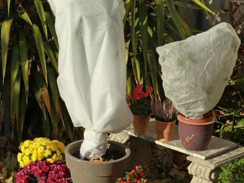 8 astuces pour préparer son jardin à affronter l'hiver !