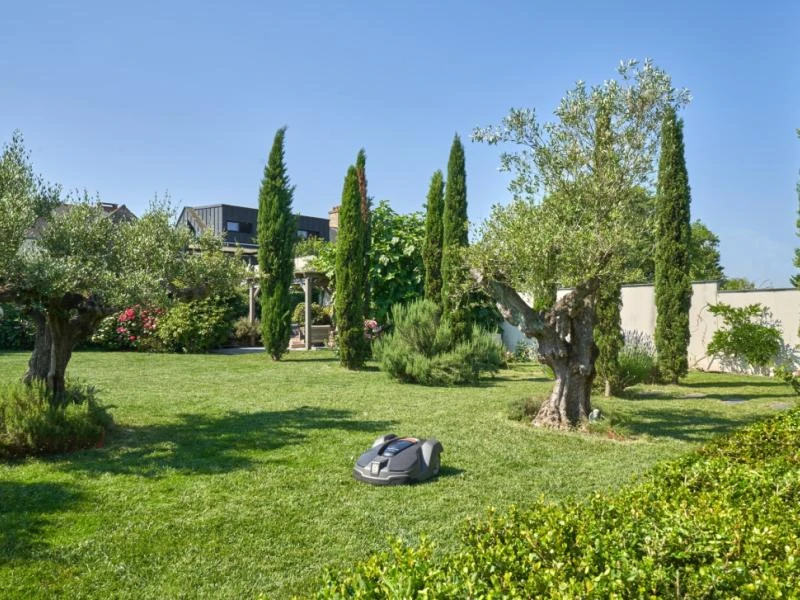 Comment avoir un beau jardin pour cet été ? 5 conseils pour ne pas vous planter.