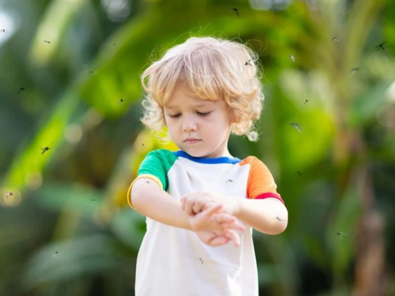 Survivre aux repas en terrasse : astuces anti-moustiques et coups de soleil !